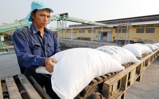 Địa phương "bắt bẻ" Bộ Công Thương vì sao lại áp hạn ngạch xuất khẩu gạo?
