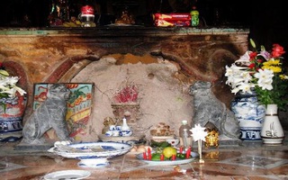 Ly kỳ "báu vật nằm trong tổ mối" ở một ngôi chùa