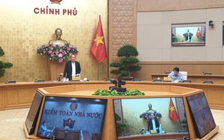 Phó Thủ tướng Thường trực Trương Hòa Bình: Dự án không thể phục hồi thì cho phá sản