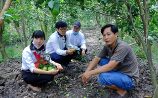 Gặp 2 nông dân “hốt bạc” từ cây cam sạch giữa dịch Covid-19