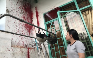Tố cáo sai phạm, một phụ nữ bị ném sơn trộn mắm tôm vào nhà