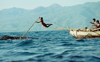 Nghề săn cá voi bằng lao tre hàng trăm năm