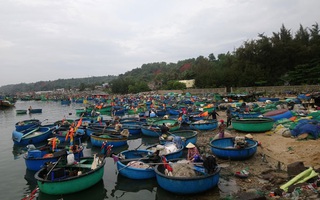 Nan giải tái định cư cho ngư dân