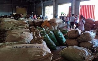 Đà Nẵng: Hơn 103 tấn dược liệu từ Trung Quốc "đội lốt" củ quả sấy khô cập cảng Tiên Sa