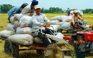 "Lái máy cày cũng phải có bằng"