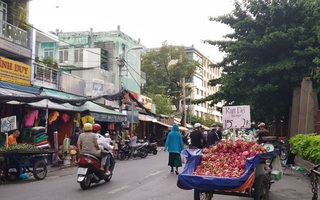 Thanh long vào chính vụ, giá cực rẻ