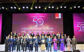 Những tập đoàn thuộc Top 50 công ty kinh doanh hiệu quả nhất Việt Nam