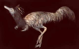 Sinh vật lạ từ Suối Địa Ngục: đầu khủng long, mình đà điểu...