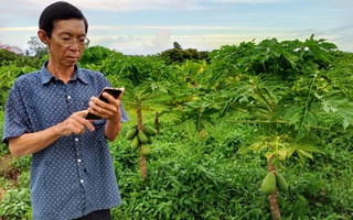 NÔNG DÂN MIỀN TÂY BẮT TAY LÀM “NGƯỜI TỬ TẾ” (*): Chuẩn tắc, công nghệ và lệnh thị trường