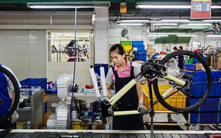 Hãng xe đạp lớn nhất thế giới sản xuất không kịp bán