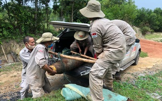 Quảng Nam- Quảng Trị: Đào móng nhà, phát hiện quả bom khủng