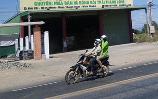 Thanh long phụ thuộc thương lái nước ngoài