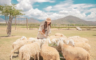 7 điểm ăn chơi ở Cam Ranh