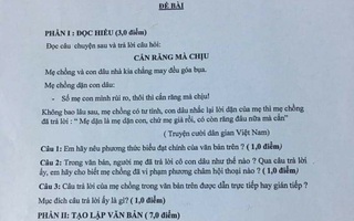 Xôn xao việc giáo viên sử dụng ví dụ "nhạy cảm" khi ra đề ngữ văn lớp 9