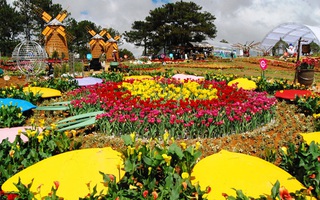Có gì đặc sắc ở lễ hội hoa "kỷ lục" hơn 120 triệu Euro tại Quảng Bình?