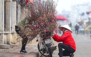 Yêu Hà Nội