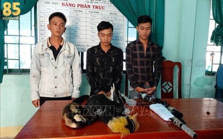 Ninh Thuận: Bắt giữ nhóm thanh niên săn bắn động vật quý hiếm