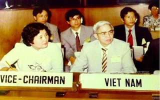 "Bóng hồng" đối ngoại: "Nữ Đại sứ đập bàn" và cuộc đấu tranh ở Liên Hiệp Quốc của Việt Nam