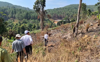 Lâm Đồng tái xuất tình trạng phá rừng phòng hộ, lấn chiếm đất