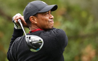 Siêu sao Tiger Woods thoát chết sau vụ lật xe kinh hoàng
