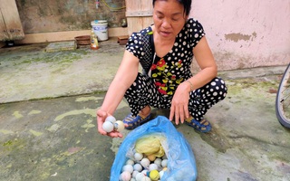 Bóng golf "oanh tạc" làm bể mái tôn, cửa kính và uy hiếp người dân ở Quảng Bình