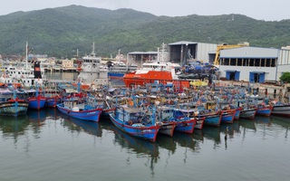 Đà Nẵng cấm tàu thuyền ra khơi