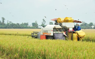 Nông nghiệp: Trụ đỡ vững chắc của nền kinh tế