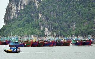 Hải Phòng, Quảng Ninh cấm biển, dừng hoạt động vận tải để ứng phó bão số 7