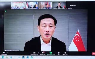 Bộ trưởng Y tế Việt Nam và Singapore thảo luận việc đi lại giữa hai nước