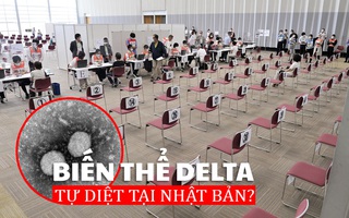 [eMagazine] Biến thể Delta tự diệt tại Nhật Bản?