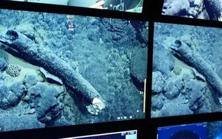 Sinh vật lai giữa 2 quái thú "trốn" dưới đáy biển suốt 200.000 năm
