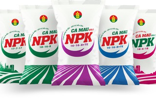 Phân bón Cà Mau tối ưu bộ sản phẩm NPK một hạt - kiến tạo giá trị bền vững cho nông sản Việt