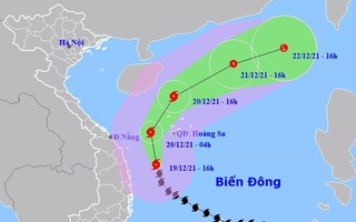 Bão số 9 cách Quảng Ngãi-Bình Định khoảng 180 km, đảo Lý Sơn gió giật cấp 9
