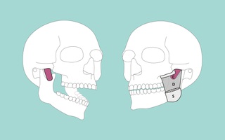 Phát hiện cấu trúc chưa từng thấy trong cơ thể người