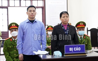 Chống phá nhà nước, 2 mẹ con Cấn Thị Thêu và Trịnh Bá Tư bị tuyên y án