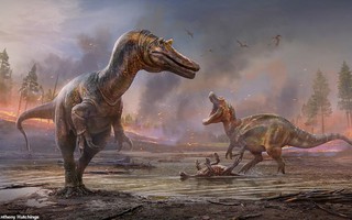 Phát hiện 6 loài khủng long cùng hơn 500 loài mới trong năm 2021