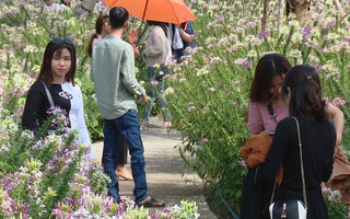 Làng hoa kiểng lớn nhất miền Tây tổ chức “Duyên dáng phụ nữ làng hoa”