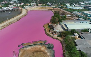 Vụ đầm nước chuyển màu hồng tím ở Bà Rịa - Vũng Tàu: Đề xuất nghiên cứu sâu để khai thác du lịch