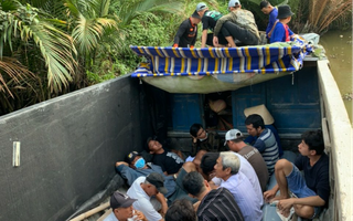 CLIP: Cảnh sát hình sự phá trường gà hoạt động tinh vi ở Kiên Giang