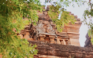 Phú Yên không chỉ có 'hoa vàng trên cỏ xanh'