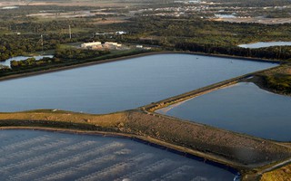 Bang Florida đối mặt nguy cơ "bức tường nước thải" cao 6 m