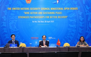 Việt Nam chủ trì họp HĐBA LHQ về khắc phục hậu quả bom mìn