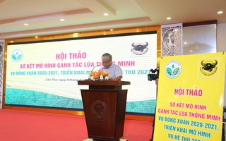 Canh tác lúa thông minh tại Đồng bằng Sông Cửu Long vụ Đông Xuân 2020-2021