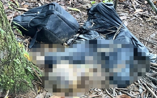 Lâm Đồng: Tá hỏa phát hiện thi thể đang phân hủy trong rừng