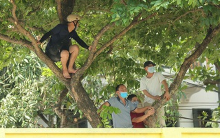 CLIP: Cổ động viên Hoà Bình leo cây xem trận khai mạc giải Hạng nhì Quốc gia 2021