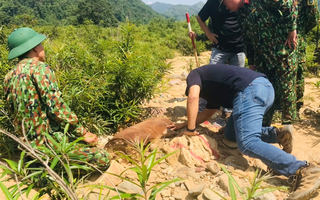 Công binh đã xử lý quả bom ở Cù Bai