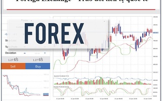 Công an vạch trần hình thức kinh doanh, giao dịch sàn Forex