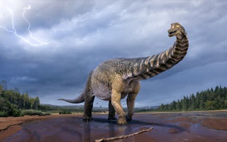 Phát hiện hóa thạch gây sốc của loài "siêu quái thú" nặng 74 tấn