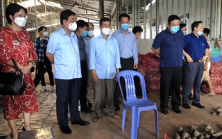 Bộ trưởng Lê Minh Hoan thị sát vùng trồng khoai lang tím ở Vĩnh Long