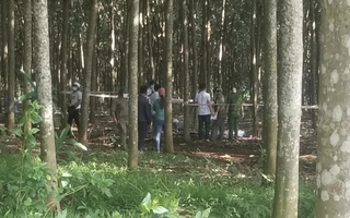 Hoảng hốt thấy 1 người nằm chết trong lô cao su ở TP Long Khánh, Đồng Nai